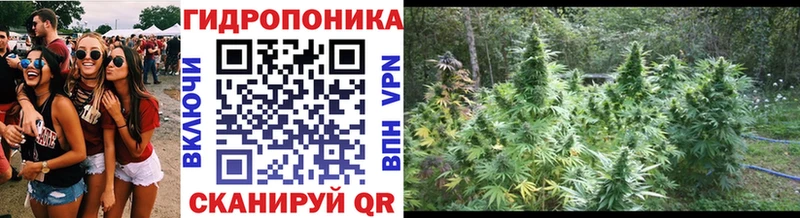 Где найти наркотики Нюрба СК  Меф мяу мяу  ГАШИШ 