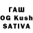 Галлюциногенные грибы GOLDEN TEACHER Martha Zaid