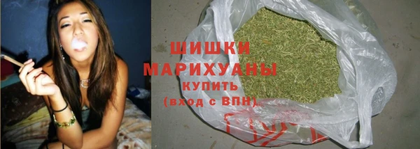 ешки Верхний Тагил