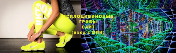 ешки Верхний Тагил