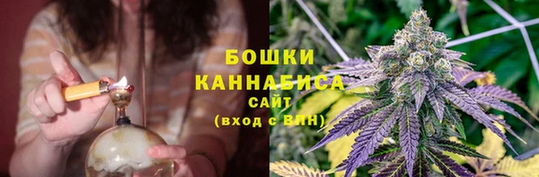 ешки Верхний Тагил