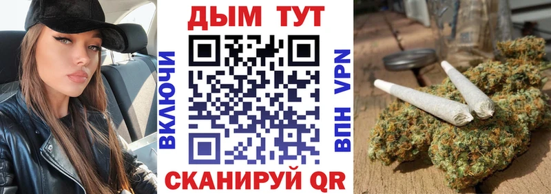 наркота  Нюрба  Канабис сатива 